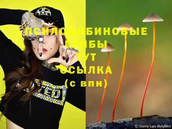 каннабис Нефтекумск
